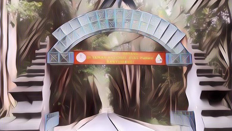 Bikin Merinding Ini Alasan Alas Purwo Nggak Boleh Dikunjungi Sembarang&nbsp;Orang