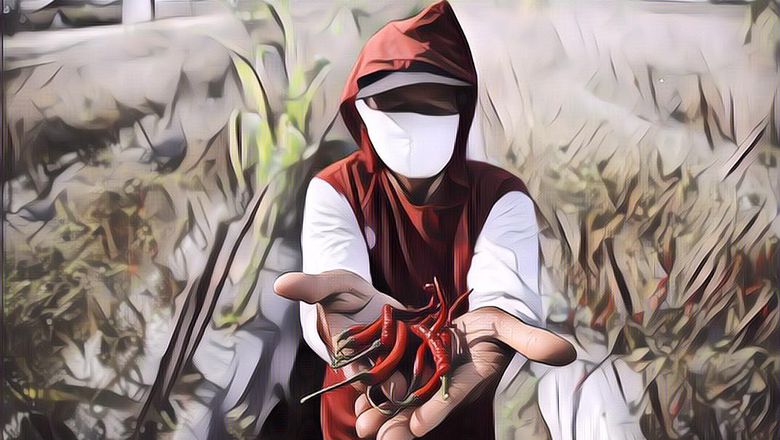 Lulusan Engineer Pria Ini Malah Kaya Usai Putuskan Jadi Petani&nbsp;Cabai