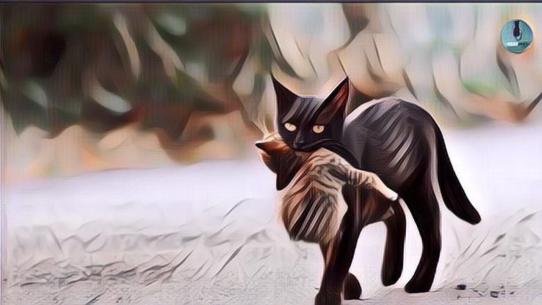 Kenapa Kucing Memindahkan Anak-Anak Mereka ke Tempat&nbsp;Baru