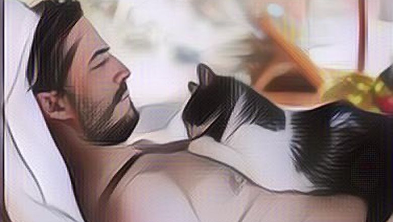 Kenapa Kucing Suka Banget Tidur di Tubuh Kita Ini 5&nbsp;Alasannya